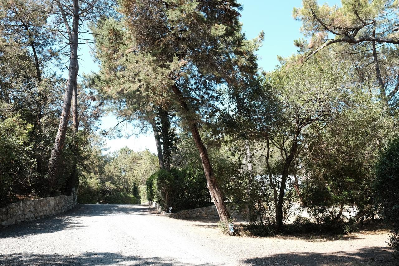 Camping Casa Di Caccia Marina Di Bibbona Exterior photo